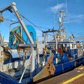 Stern trawler scalloper - picture 33